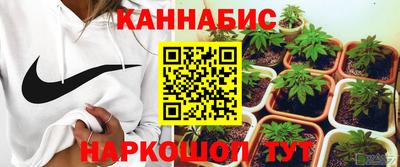 Альфа ПВП Канаш