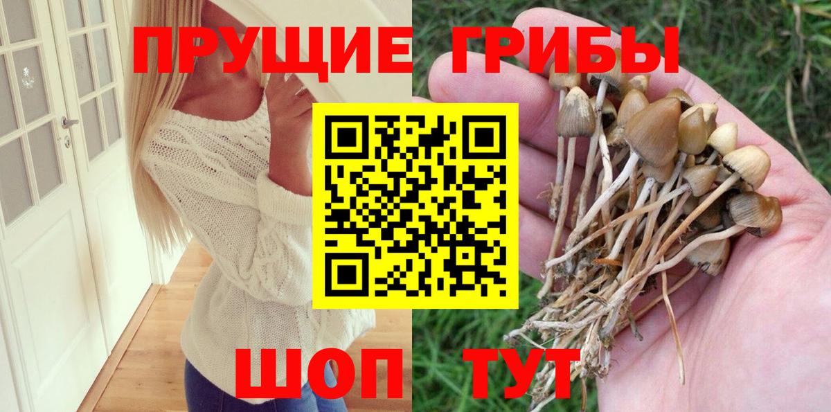 где купить наркотик  Галлюциногенные грибы Psilocybine cubensis  Галлюциногенные грибы прущие грибы  Вход с VPN  Туймазы 